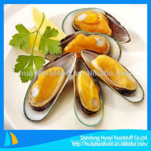high quality cooking frozen half shell mussels